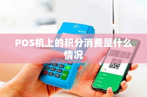 POS机上的积分消费是什么情况