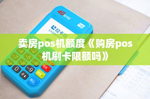 卖房pos机额度《购房pos机刷卡限额吗》