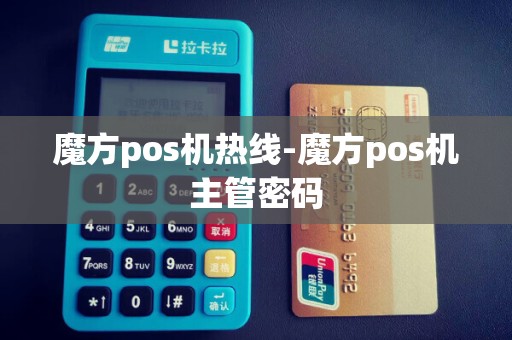 魔方pos机热线-魔方pos机主管密码