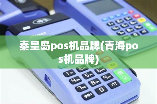 秦皇岛pos机品牌(青海pos机品牌)