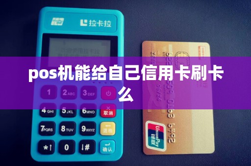 pos机能给自己信用卡刷卡么 pos机能给自己信用卡刷卡么
