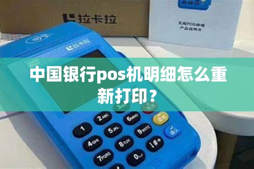 中国银行pos机明细怎么重新打印？
