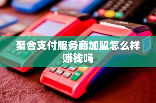 聚合支付服务商加盟怎么样赚钱吗