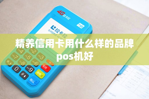 精养信用卡用什么样的品牌pos机好 精养信用卡用什么样的品牌pos机好