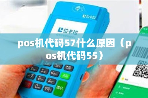 pos机代码57什么原因（pos机代码55）
