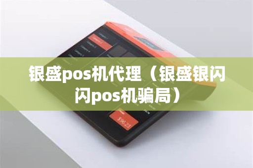 银盛pos机代理（银盛银闪闪pos机骗局）