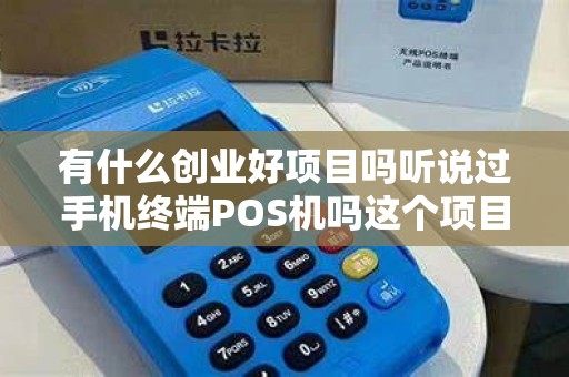 有什么创业好项目吗听说过手机终端POS机吗这个项目... 有什么创业好项目吗听说过手机终端POS机吗这个项目...