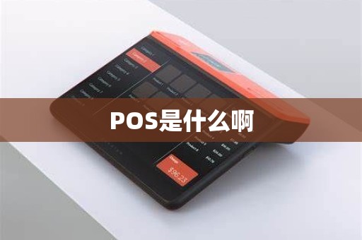 POS是什么啊