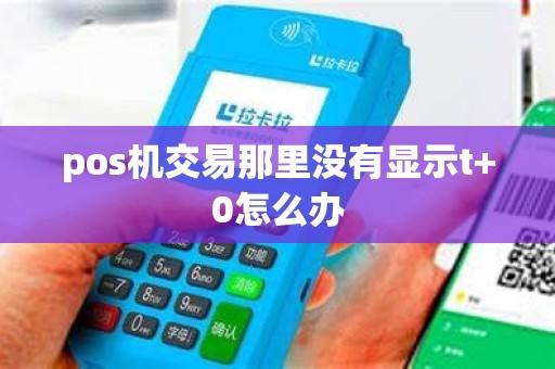 pos机交易那里没有显示t+0怎么办