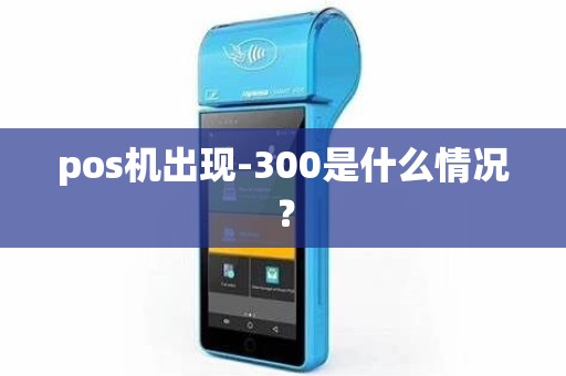 pos机出现-300是什么情况？