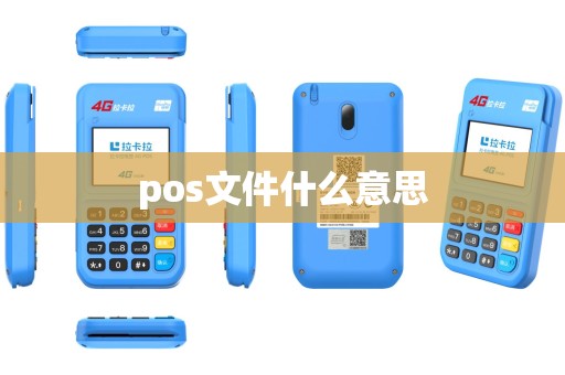 pos文件什么意思