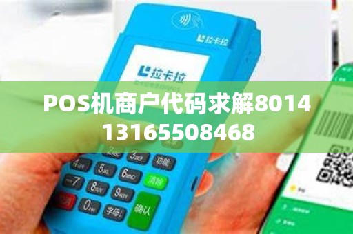 POS机商户代码求解801413165508468