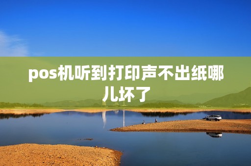 pos机听到打印声不出纸哪儿坏了