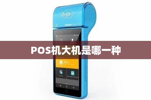POS机大机是哪一种