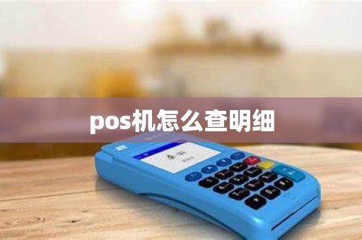 pos机怎么查明细