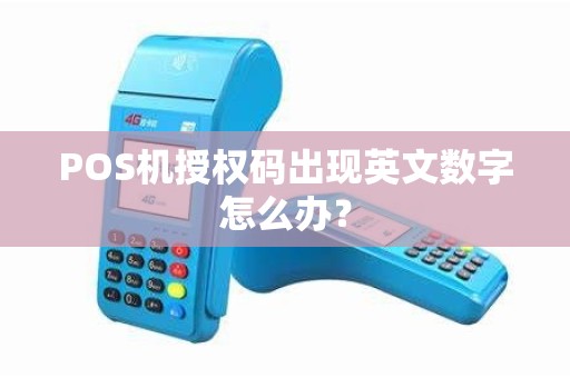 POS机授权码出现英文数字怎么办？