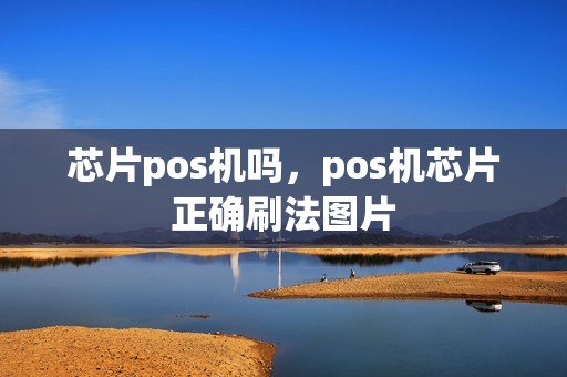 芯片pos机吗，pos机芯片正确刷法图片