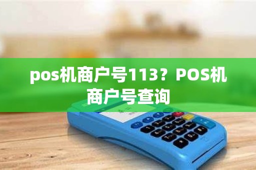 pos机商户号113？POS机商户号查询