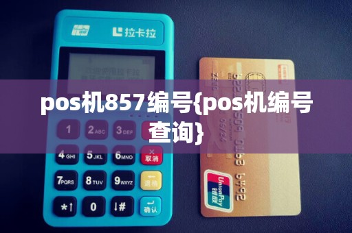 pos机857编号{pos机编号查询}