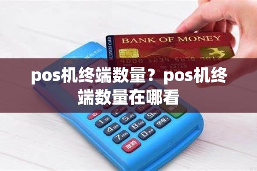pos机终端数量？pos机终端数量在哪看
