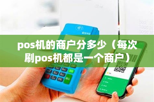 pos机的商户分多少（每次刷pos机都是一个商户）
