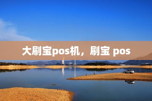 大刷宝pos机，刷宝 pos
