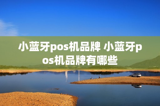 小蓝牙pos机品牌 小蓝牙pos机品牌有哪些