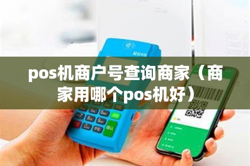 pos机商户号查询商家（商家用哪个pos机好）
