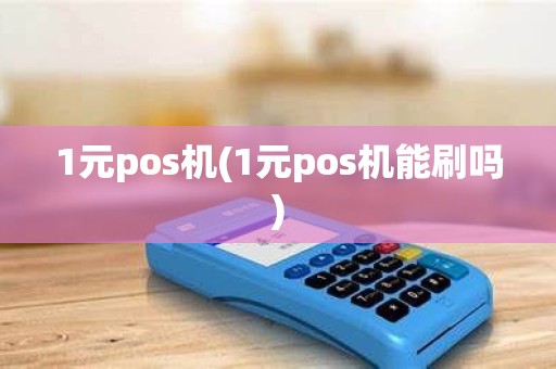 1元pos机(1元pos机能刷吗)