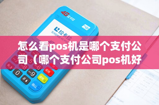 怎么看pos机是哪个支付公司（哪个支付公司pos机好）
