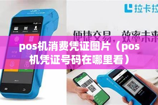 pos机消费凭证图片（pos机凭证号码在哪里看）
