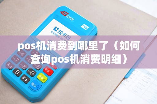 pos机消费到哪里了（如何查询pos机消费明细）