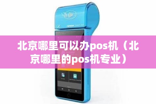 北京哪里可以办pos机（北京哪里的pos机专业）