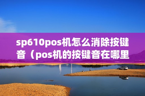 sp610pos机怎么消除按键音（pos机的按键音在哪里）
