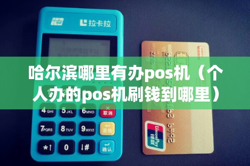 哈尔滨哪里有办pos机（个人办的pos机刷钱到哪里）
