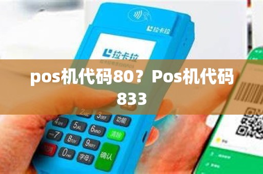 pos机代码80？Pos机代码833