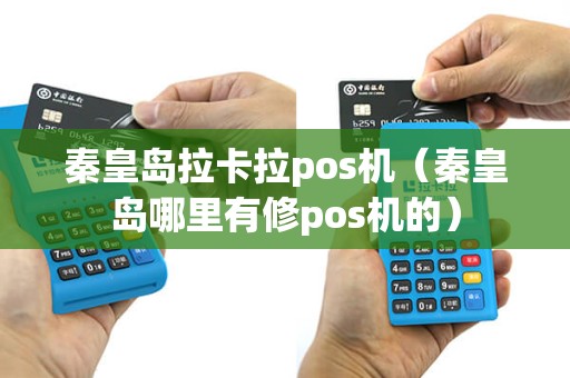 秦皇岛拉卡拉pos机（秦皇岛哪里有修pos机的）