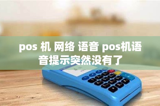 pos 机 网络 语音 pos机语音提示突然没有了