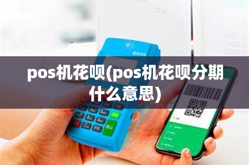 pos机花呗(pos机花呗分期什么意思)