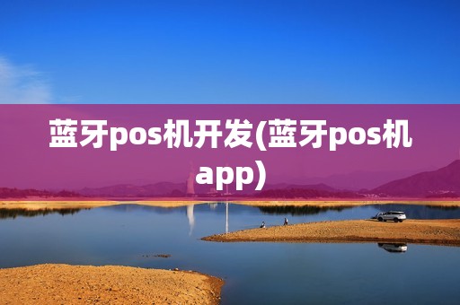 蓝牙pos机开发(蓝牙pos机app)