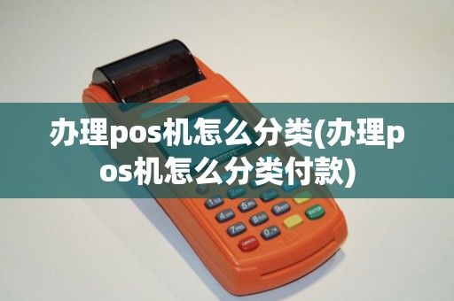 办理pos机怎么分类(办理pos机怎么分类付款)