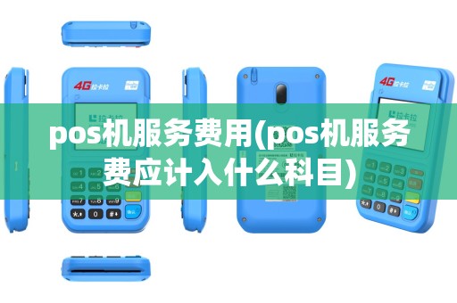 pos机服务费用(pos机服务费应计入什么科目)