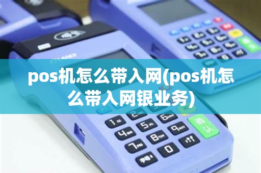 pos机怎么带入网(pos机怎么带入网银业务)