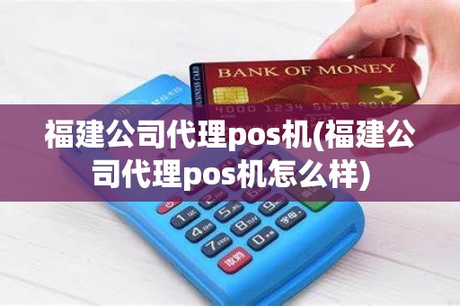福建公司代理pos机(福建公司代理pos机怎么样)