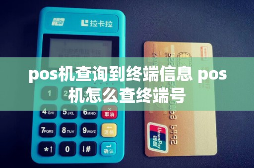 pos机查询到终端信息 pos机怎么查终端号