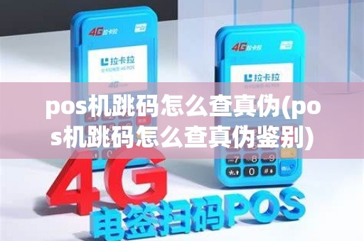 pos机跳码怎么查真伪(pos机跳码怎么查真伪鉴别)