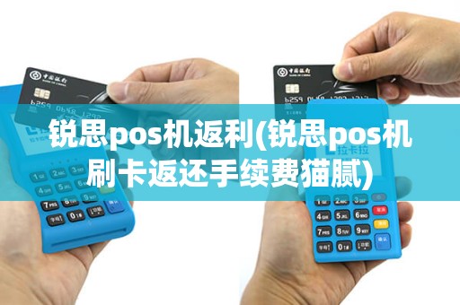 锐思pos机返利(锐思pos机刷卡返还手续费猫腻)