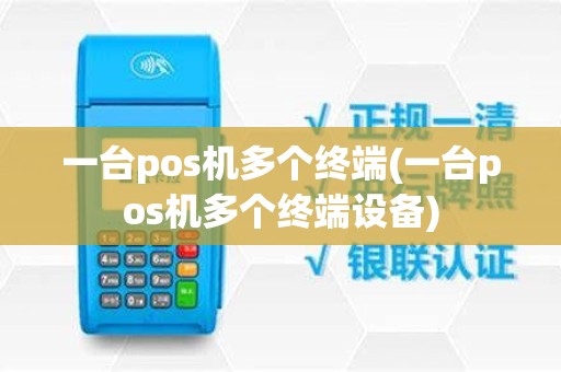一台pos机多个终端(一台pos机多个终端设备)