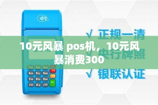10元风暴 pos机，10元风暴消费300