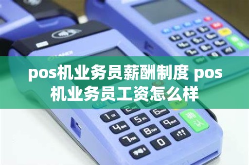 pos机业务员薪酬制度 pos机业务员工资怎么样